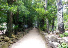 沖縄の道